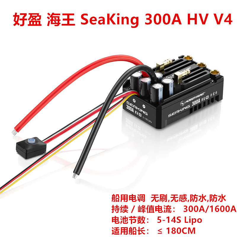 Haoying Neptunus SEAKING 4685 54113 V2 Marine Motor - Image 4