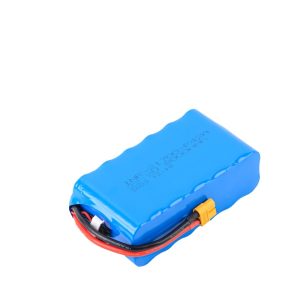Magic Molicel 6S2P 22 2V 8000 MAh Low Temperature Battery for FPV Crossing Machine 21700 P42A Cells