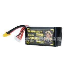 DAI WONG GAU 6S 1200mah 150C LiPo Battery FPV Crossing Aircraft Model
