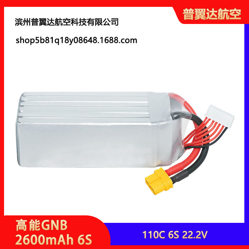 Hochleistungs-GNB 2600mAh 6S 22,2V 110°C FPV-LiPo-Akku mit XT90-Stecker - Image 5