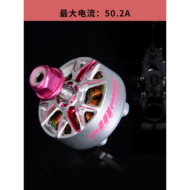 Zhiling Motor 2207 2040Kv 1960Kv 5inch Racing Brushless Motor for FPV Racing Drone GTS V4 - Image 3