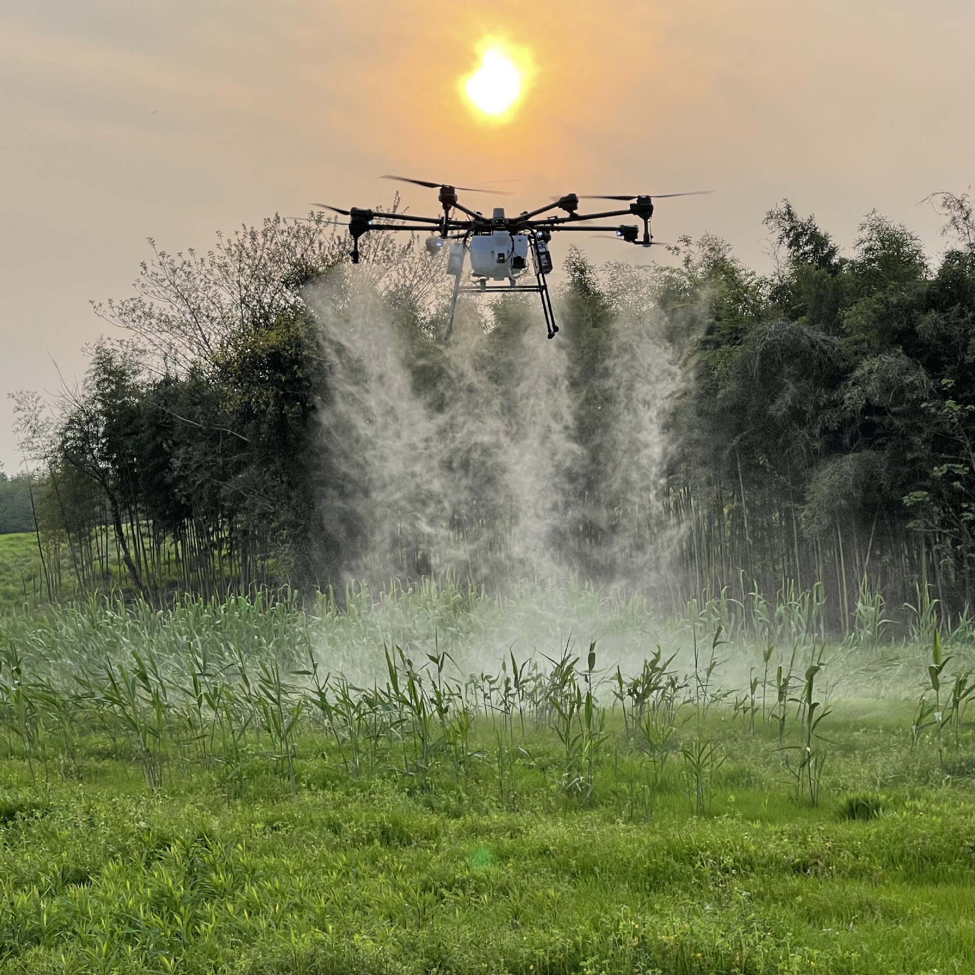 Biggest Spraying Agriculture Drone H200 Plant Protection 92L Payload - Image 3