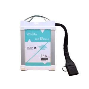 Okcel European Dutch 14S 18000Mah 20000Mah 28000Mah Smart High Voltage Lithium Battery