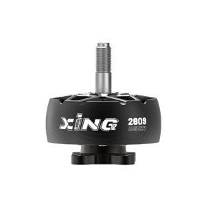 iFlight Xing2 2809 1250Kv bürstenloser Motor für FPV X8 Modellflugzeuge